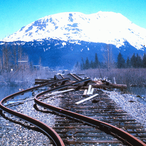 Infected Transistor : Buckled